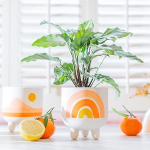 svg+xml,%Csvg%viewBox%D%%%%%%xmlns%D%http%A%F%Fwww.w