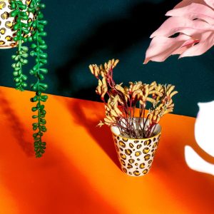 svg+xml,%Csvg%viewBox%D%%%%%%xmlns%D%http%A%F%Fwww.w