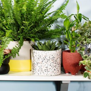 svg+xml,%Csvg%viewBox%D%%%%%%xmlns%D%http%A%F%Fwww.w