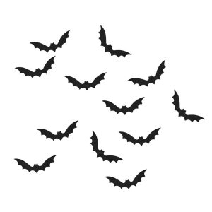 svg+xml,%Csvg%viewBox%D%%%%%%xmlns%D%http%A%F%Fwww.w