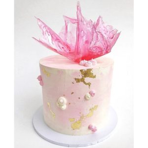 svg+xml,%Csvg%viewBox%D%%%%%%xmlns%D%http%A%F%Fwww.w